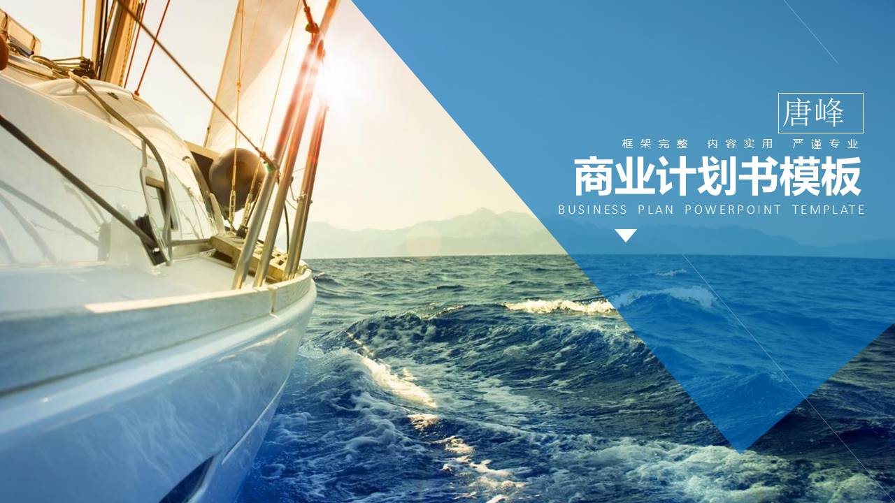 项目策划 (83).pptx